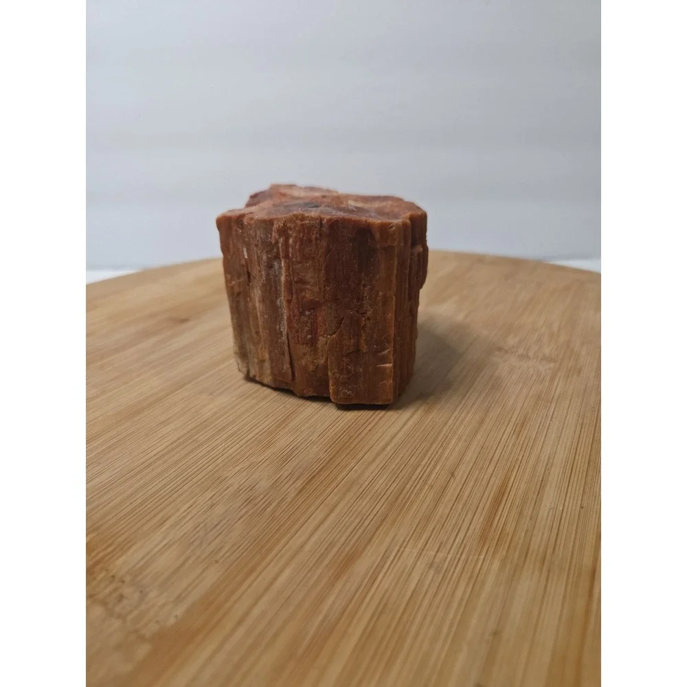 Natural Raw Petrified Wood Specimen Fossil 1.5 lbs 4